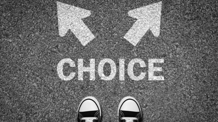 주체성을 상징하는 선택 이미지